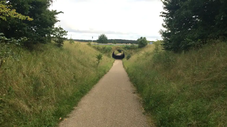 Asfalteret sti omgivet af græs og træer, der fører til en tunnel under en vej.