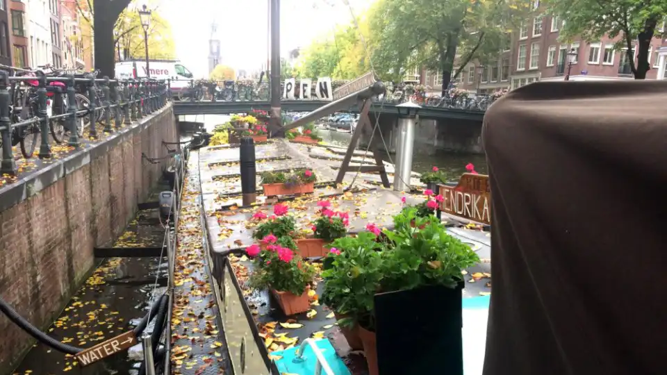 Både med blomster på en kanal i Amsterdam, med cykler parkeret langs broen og træer med efterårsblade i baggrunden.