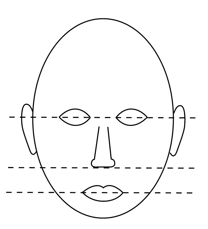 Skitse af et ansigt med vandrette stiplede linjer for at markere proportioner.