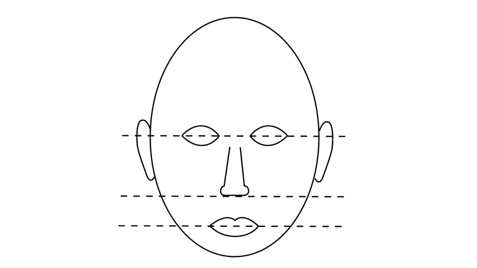 Skitse af et ansigt med vandrette stiplede linjer for at markere proportioner.