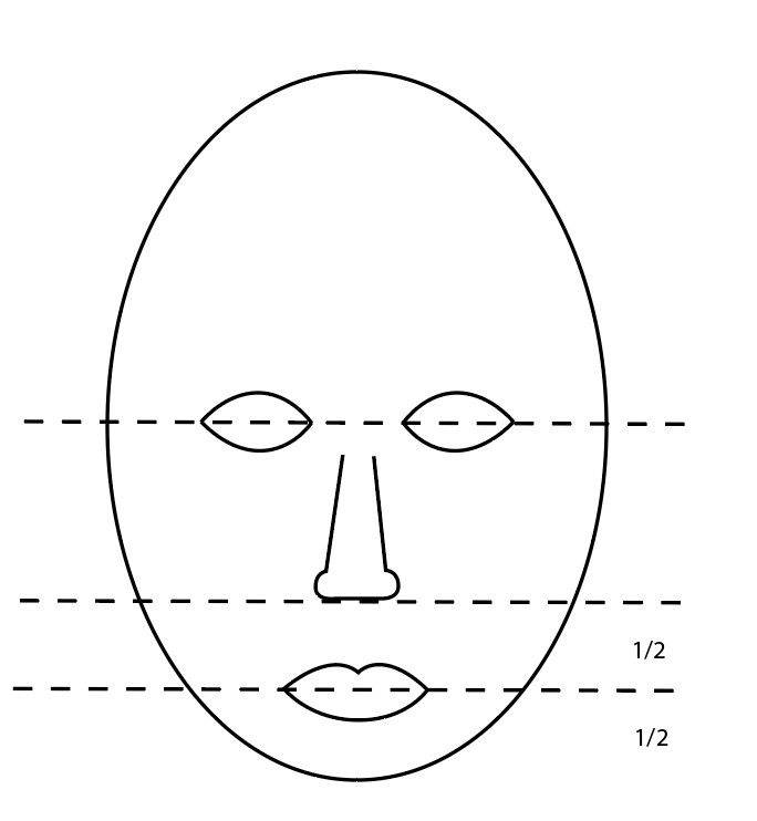 Skitse af et ansigt med vandrette stiplede linjer for at markere proportioner.