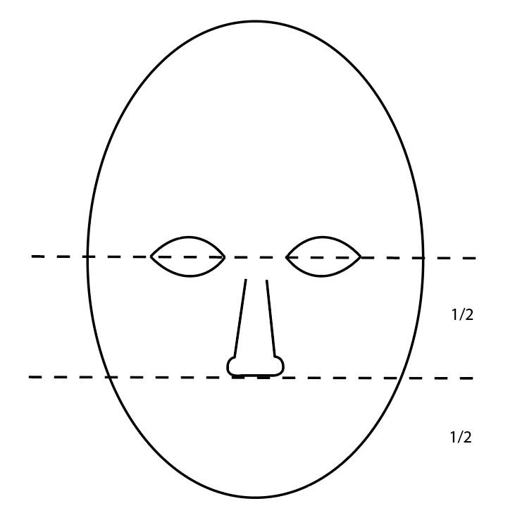 Skitse af et ansigt med vandrette stiplede linjer for at markere proportioner.