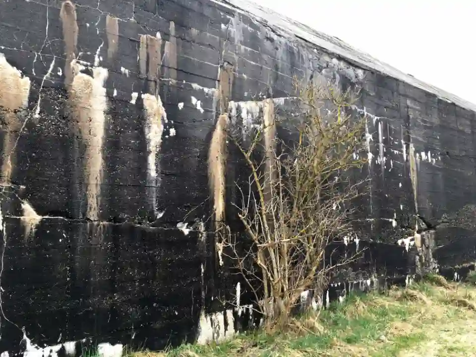 Gammel betonbunker med sorte og hvide misfarvninger og en busk foran.