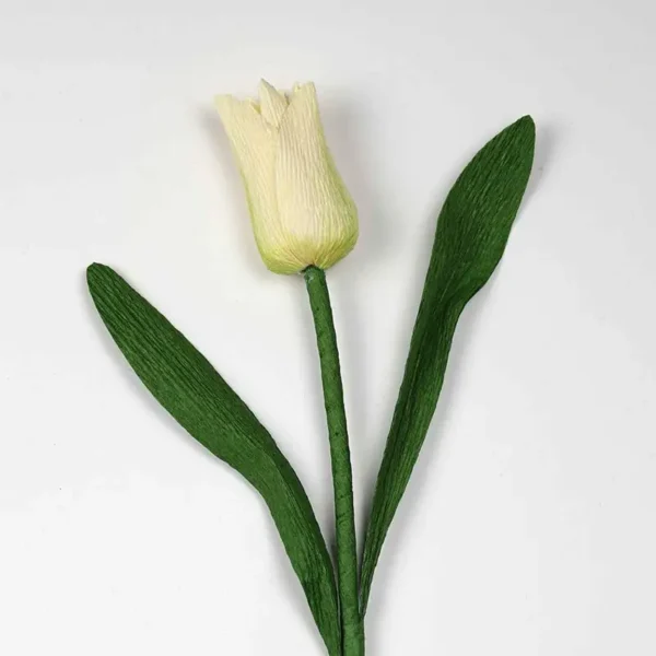 tulipan crepepapir