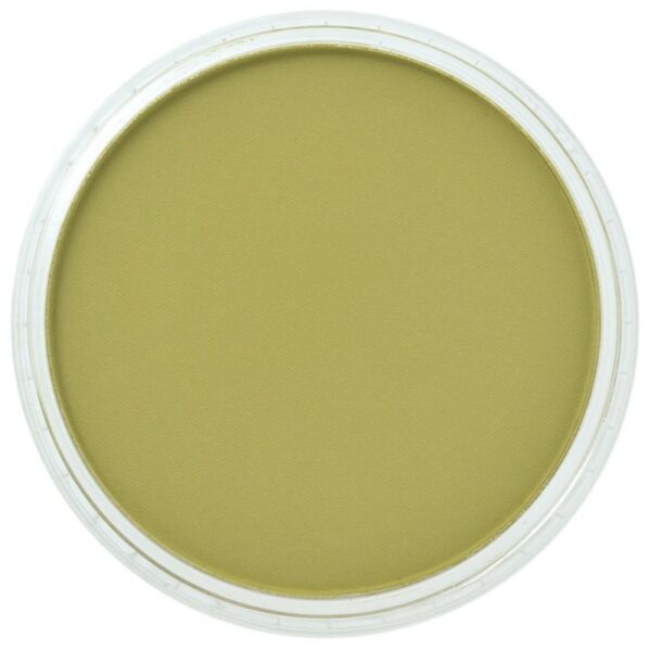 panpastel bright yellow green shade