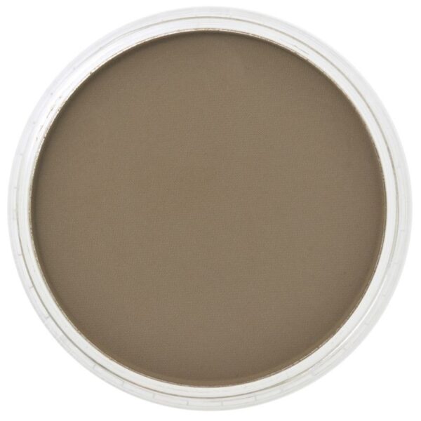 panpastel raw umber